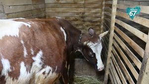 С января по август 2025 года на Смоленщине заключено 483 социальных контракта