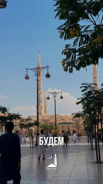 Три способа очищения и повышения степени по хадису Пророка ﷺ смотреть онлайн