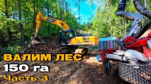 Харвестер пилит лес. Вырубка 150 ГА под аэропорт в г. Владимир