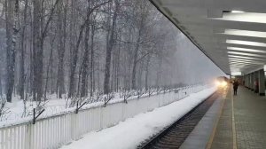 2024 02 02 Зима.  Измайлово.