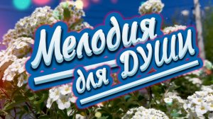 Мелодия для души, прекрасное фортепиано