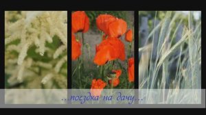 Лето 2015-это...