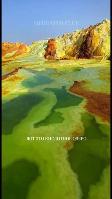 В какие путешествия вы хотите отправиться?