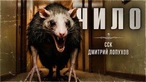 ССК | Общество Литературных Безумцев. ЧИЛО