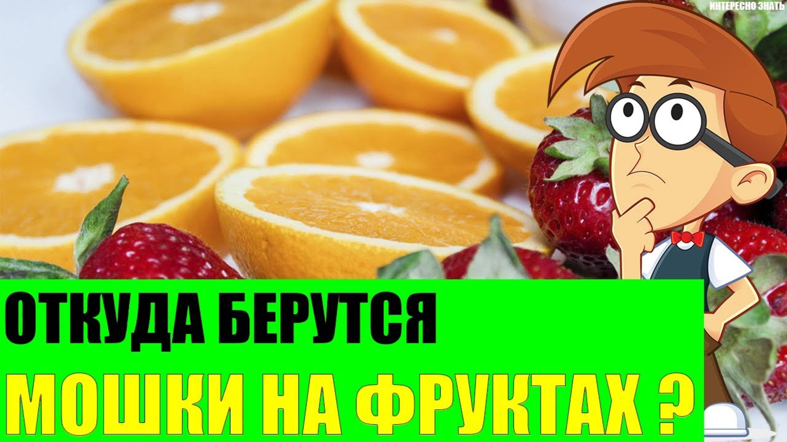Откуда берутся мошки на фруктах? смотреть онлайн