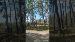 Дорога на экскурсию в этностойбище северных народов. #Тюмень #ханты #манси #ненцы