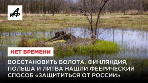 Восстановить болота. Финляндия, Польша и Литва нашли феерический способ «защититься от России»