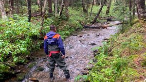 Спасатели МЧС России обнаружили заблудившихся на Сахалине грибников живыми и невредимыми