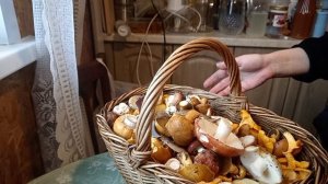 Дары Леса-грибы