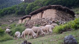 13858193_3840_2160_30fps