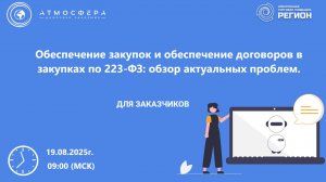 Обеспечение закупок и обеспечение договоров в закупках по 223-ФЗ обзор актуальных проблем