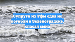 Супруги из Уфы едва не погибли в Зеленоградске, спасая сына