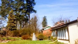 ВИДЕО-ПРИКОЛЫ #9