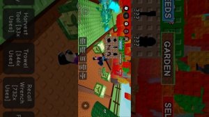 ИГРАЕМ В ВЫРАСТИ САД