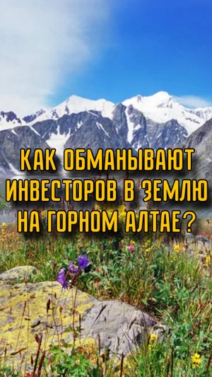 КАК ОБМАНЫВАЮТ ИНВЕСТОРОВ В ЗЕМЕЛЬНЫЕ УЧАСТКИ НА АЛТАЕ?