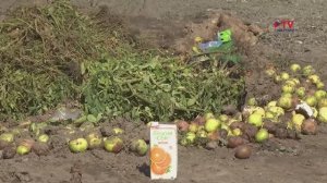 Жителей Воронежа начали штрафовать за мусор у заборов