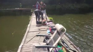 Осётр с переходного