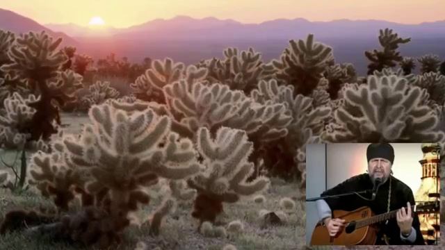 Красное на ч рном  протоиерей Андрей Гуров..mp4 (360p)