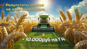 +10 000 руб /га! Результаты опытов на озимой пшенице, Московская обл.