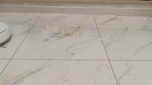 уборка роботом-пылесосом Narwal Freo X Ultra в максимальном режиме всасывания