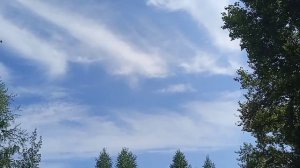 ГУЛЯЕМ С РАДОЙ!