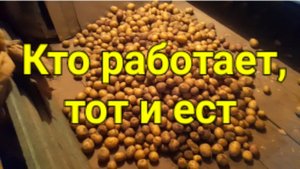 Кто работает, тот  и ест.