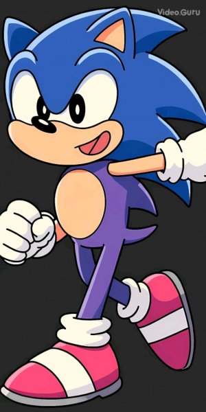 Хаки про Соника