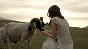 9906578-uhd_4096_2160_25fps