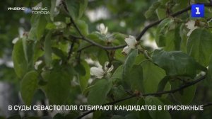 В суды Севастополя отбирают кандидатов в присяжные