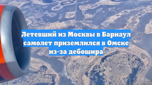 Летевший из Москвы в Барнаул самолет приземлился в Омске из-за дебошира