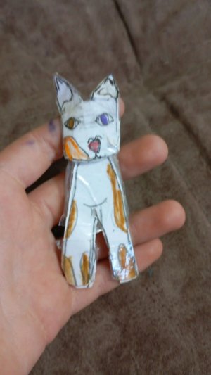 прятки собак