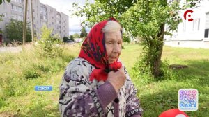 Проблемы с вывозом мусора в Соколе