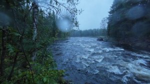 Порог Мураш левый берег ( Карелия , р. Кереть ) 25.08.25