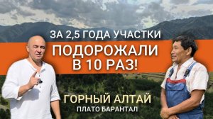Почему в Республике Алтай дорожает земля Купить участок в Чемале