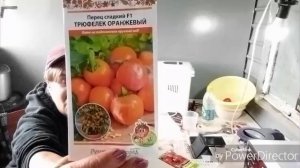 Ездила в город по делам, купила семена.