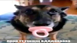 Хз че писать