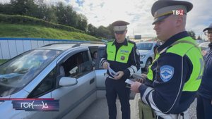 На юге Москвы поймали нелегального перевозчика / Город новостей на ТВЦ