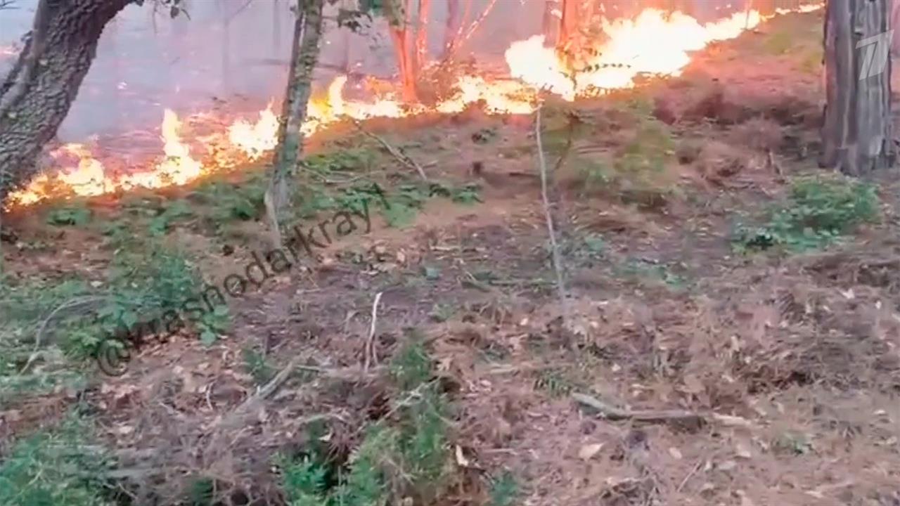 Крупный лесной пожар тушат в Краснодарском крае