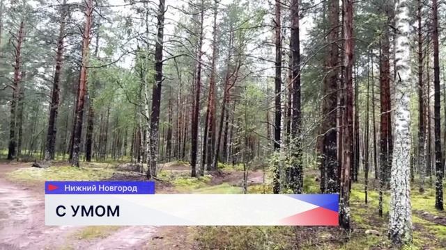 В Роспотребнадзоре рассказали, как правильно собирать и хранить грибы