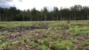 ИП Ломоносовский. Промышленная зона