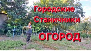 724  Простая жизнь в станице на Кубани. А делать ничего нельзя.А мы работаем.