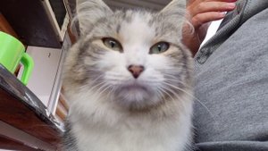 Отпуск 2025, часть 7я: Прощание с морем, дорога домой