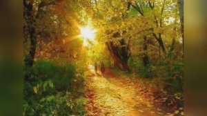 Ирина Самарина - Лабиринт "Оттого, что прощается лето" читает Любовь Б.