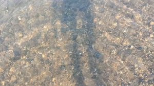 Анапа. Утро на пляже Высокий Берег. Чистое море! 28 августа 2025. 8 утра