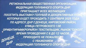 Объявление.Выставка голубей в г.Донецк (ДНР) 7сентября 2025г.mp4