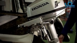 Мотор Honda BF 5DH SHU. Видеообзор.