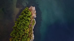 Кубориада - 2024. Коротко о главном!