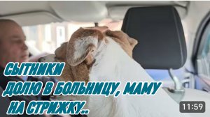 САМВЕЛ АДАМЯН, СЫТНИКИ, ДОЛЮ В БОЛЬНИЦУ, МАМУ НА СТРИЖКУ..