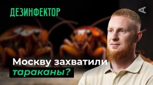 10 глупых вопросов ДЕЗИНФЕКТОРУ
