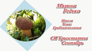 СП "Триостарты. Сентябрь" / Вступление / Тема: "Грибная полянка"